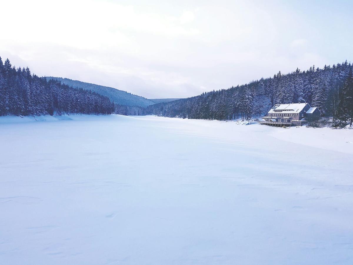Holidayhaus Luetsche Frankenhain Zewnętrze zdjęcie